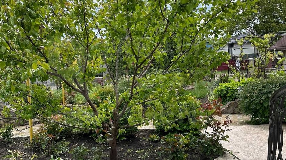 Vânzare, casă, 3 camere, strada Ion Creanga, sat. Rautel, Bălți - Poză 3