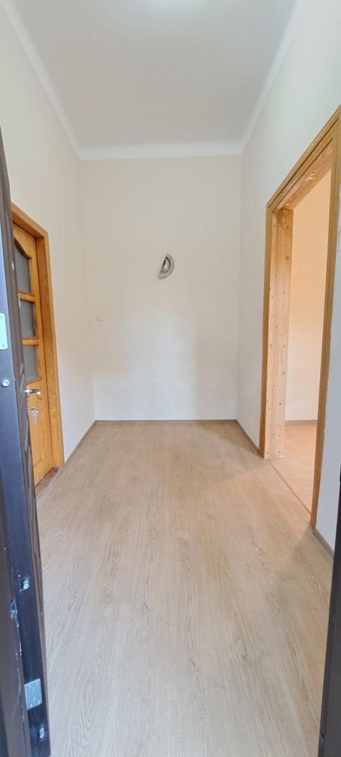 Dimitrie Cantemir, metrou Tineretului la 350 m, casa 2 camere + curte - Poză 5