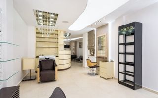 Vilă Premium ideală pentru Beauty Hub / clinică estetică  | Tei | an 2016 - Poză 9