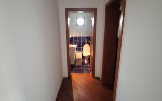 🏡 Casă de vânzare – Nicolae Bălcescu, la E85 - Poză 18