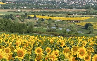 Teren intravilan ,Barnova ,Iași, 834 mp, priveliste panoramica deosebita,langa padure! - Poză 1