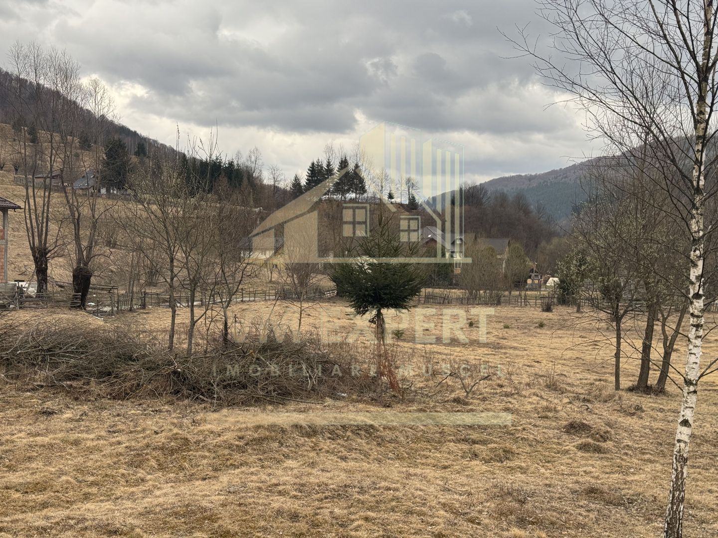 TEREN INTRAVILAN 500 MP SĂTIC- RUCĂR - Poză 9