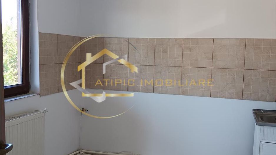 De vanzare vila individuala in Lunca Cetatuii Cartierul Tineretului - Poză 14