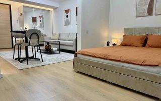 STUDIO PREMIUM | PET FRIENDLY | HERASTRAU - Poză 5