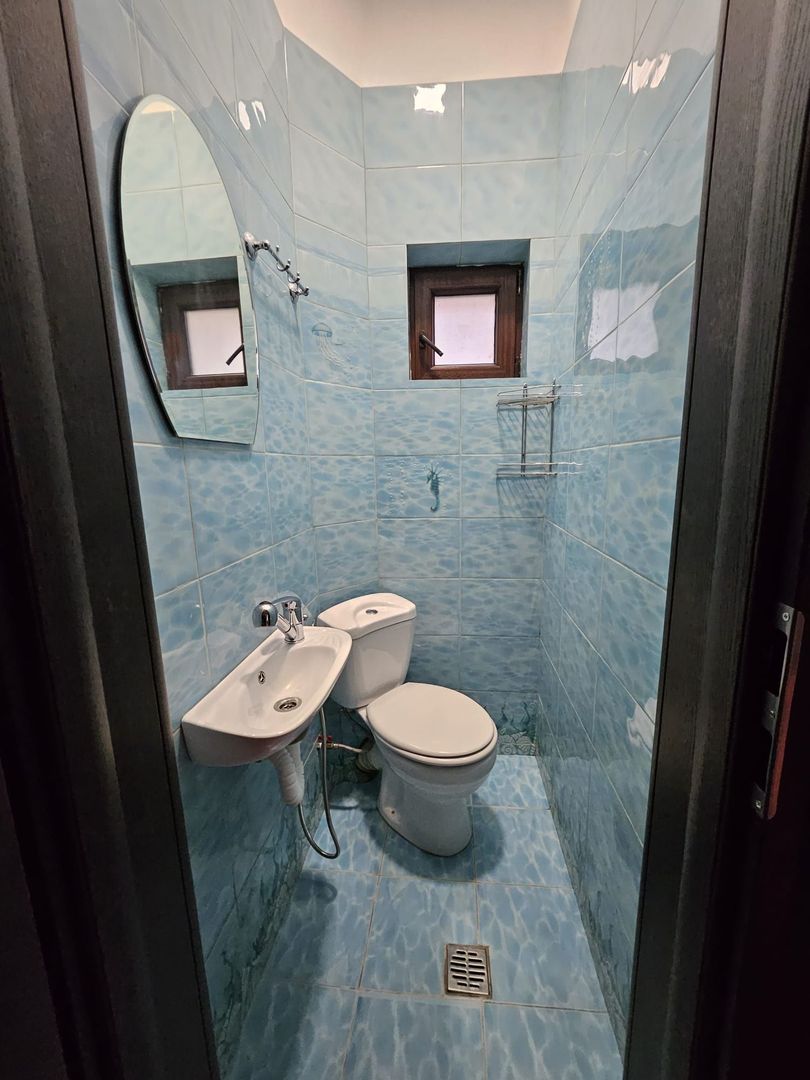 Apartament cochet vila Ferdinand Gara de Est - Poză 5