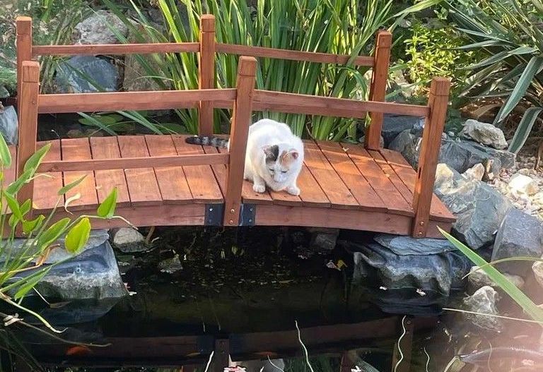 Vila vanzare| Balotesti| duplex P+1 deosebit |complet renovata in 2025 - Poză 11