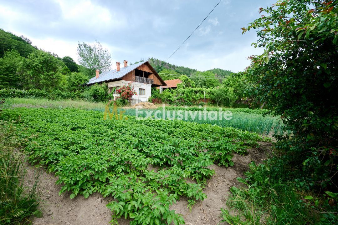 Casa cu teren generos - 4696 mp Apa Sarata - Campulung !! - Poză 9