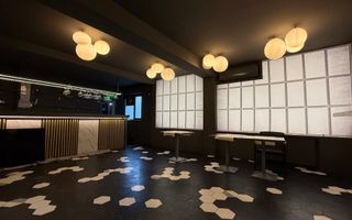 Vilă P+1 ultracentral | Terasă 139 mp | Ideal business - Poză 3