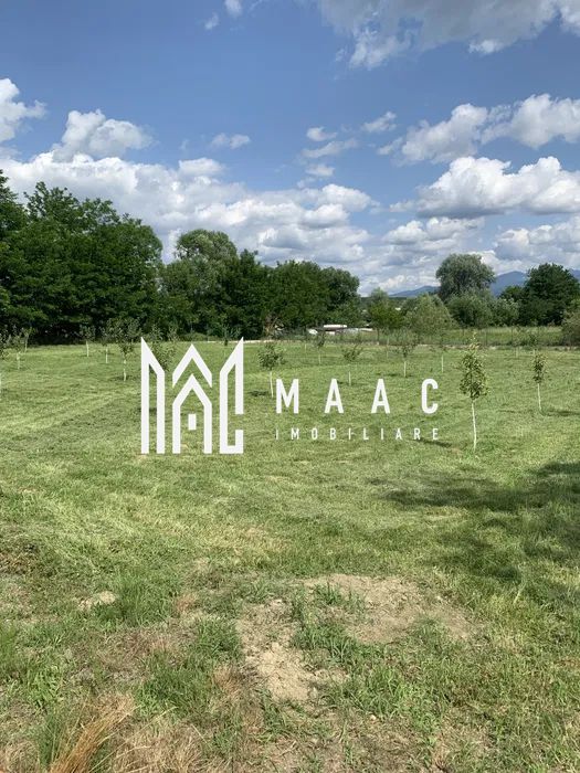 Hala Industrială | Teren 5000 mp | Marșa - Poză 4