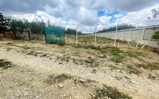 Teren intravilan de 2200 mp în Paleu – Front stradal 18 ml - Poză 1