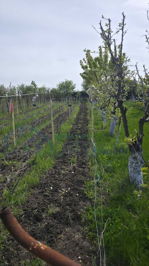 Teren intravilan 1500 mp, Tomesti – Chicerea, 10 km de Iasi, utilitati la limita - Poză 7