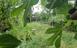 Casă parter cu teren generos de 595 mp, în Șimnicul de Jos – Craiova - Poză 17