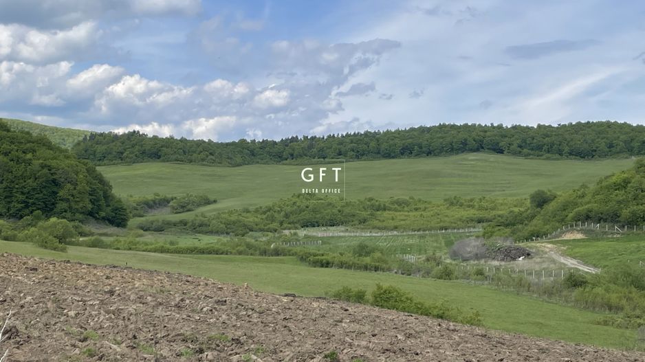 Teren extravilan 10000 mp, Jelna. - Poză 12