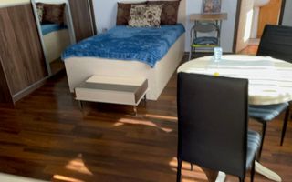 Garsoniera gata de mutat Tineretului-Mărășești - Poză 7