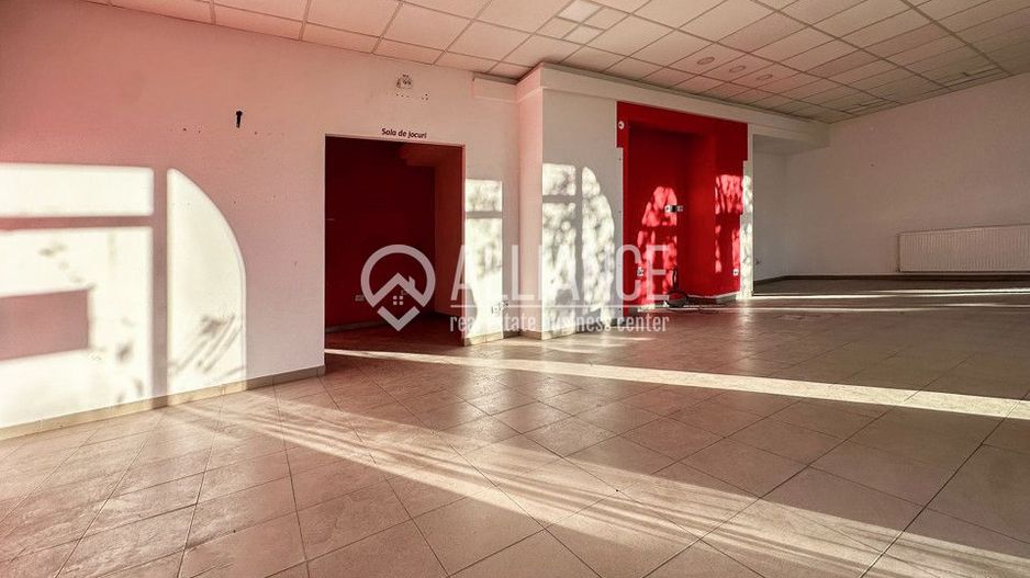 DELFINARIU (COD10) - Spatiu comercial de inchiriat - Poză 3