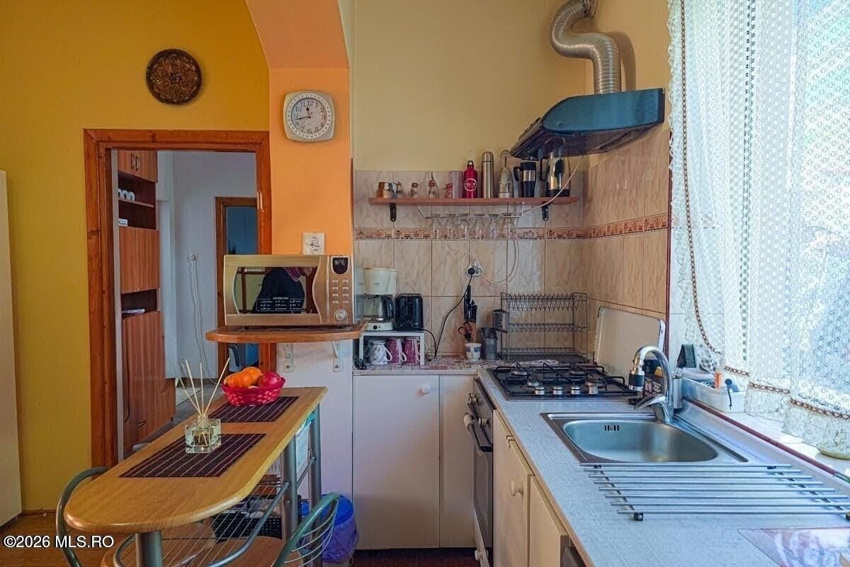 Lunei - Ion Neculce, 2 Apartamente. Mansarda 157 mp. Anexe, Lot 475 mp - Poză 29