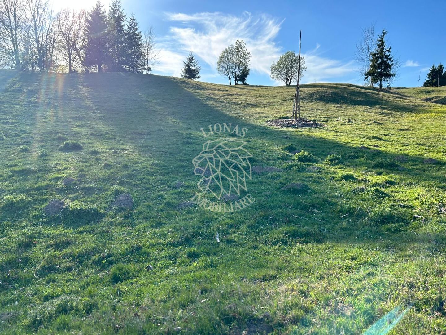 Teren 5000 mp-panorama spre Lac Colibita - Poză 4