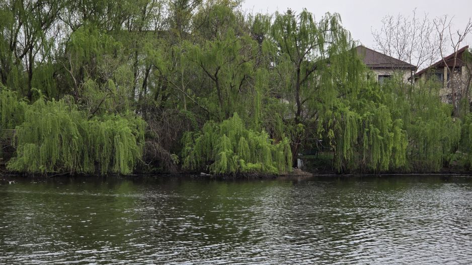 Vila premium - acces lac - investitie sigura - Tunari, Ilfov - Poză 1