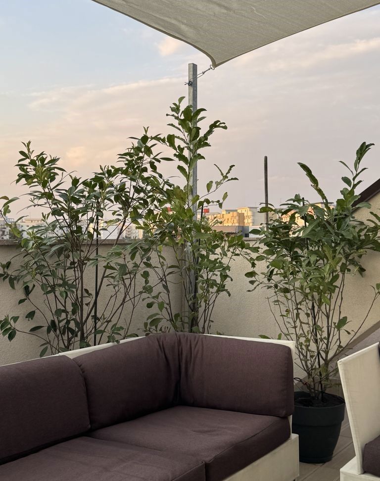 APARTAMENT  ELEGANT CU TERASA ZONA TIMPURI NOI - Poză 3