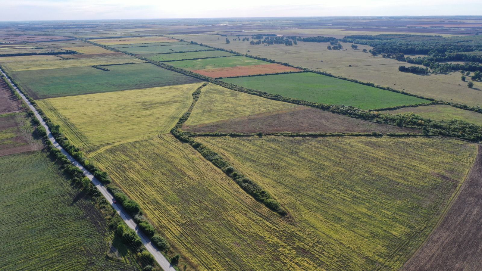 TEREN IDEAL PENTRU INVESTITII GIARMATA-PISCHIA - Poză 3