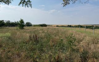 Teren intravilan Miersig, vedere la lac. 12,5 E/mp neg. Comision 0 - Poză 10