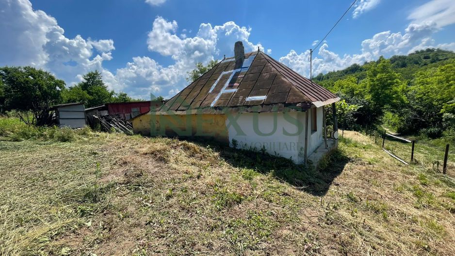 Casă bătrânească cu teren de 3.200 mp în Hertioana de Jos, jud.Bacău - Poză 7