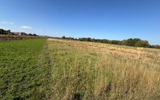 Teren intravilan | Volovat | 2200 mp - Poză 3
