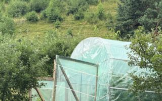 Casă de vânzare în Rășinari - Poză 9