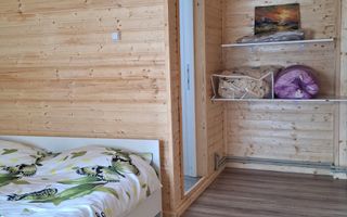 Casa Vacanta Rucar Saticu de Jos Arges - Poză 31