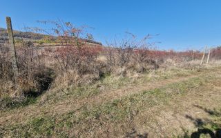 Teren intravilan de vanzare, Cetate - Poză 3