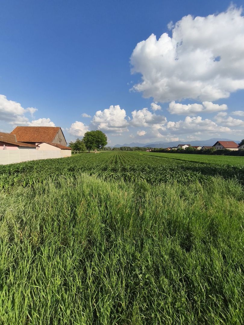 teren intravilan 700mp str. Fagurului, Stupini - Poză 2