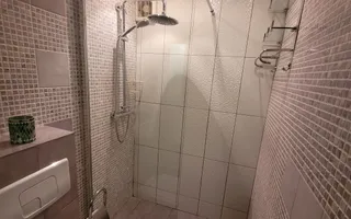 Garsoniera de inchiriat Dristor - Poză 13