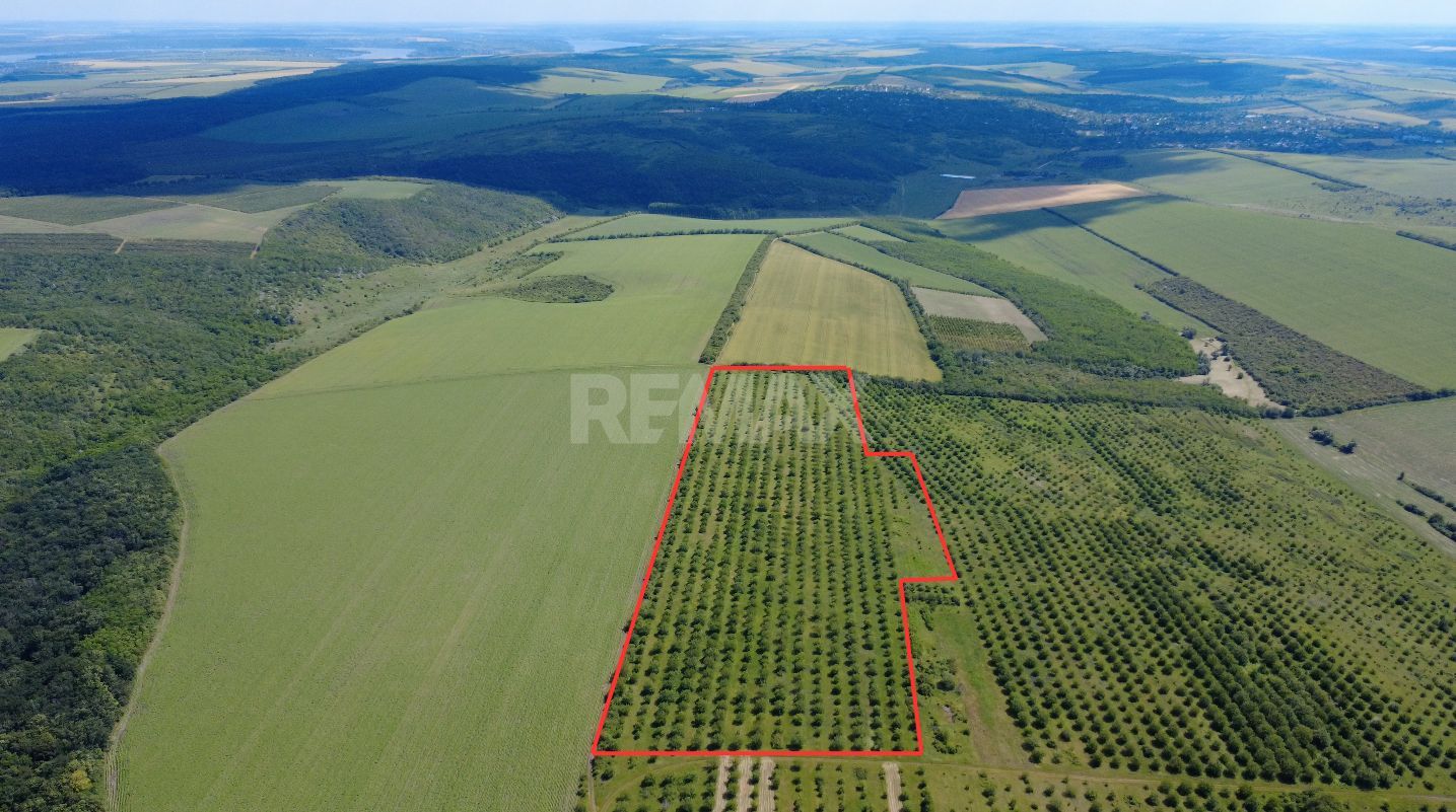 Teren Agricol, 11 HA, Bulăiești, Orhei - Poză 1
