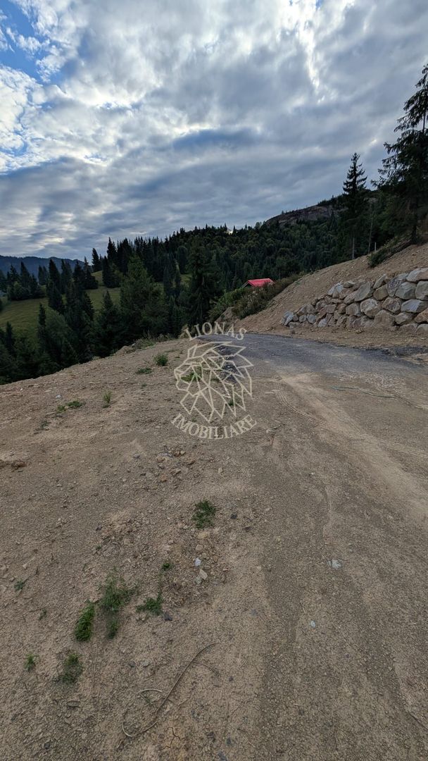 Parcele teren intravilan cu utilitati-panoramic-Colibita - Poză 2