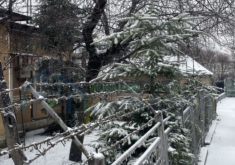 Casa + teren in Copou Strada Ursulea - Poză 3