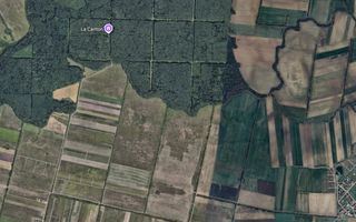 Teren zona Mosnita Padurea Bistra - Poză 2