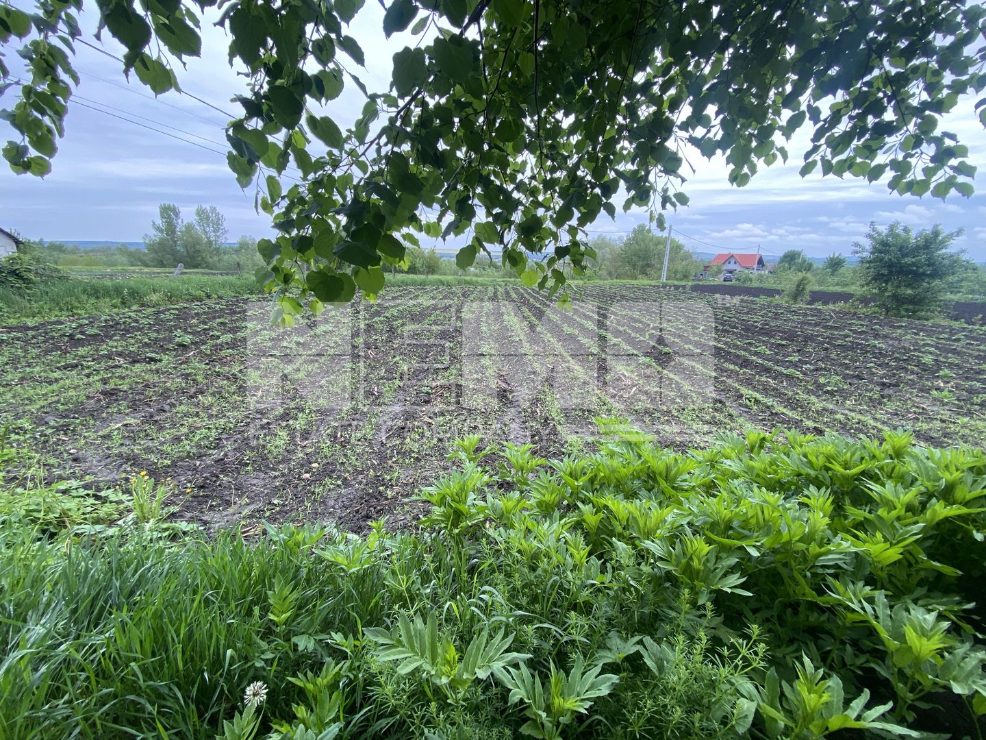 Casa la Tara | Balinesti | 16 ARI - Poză 11