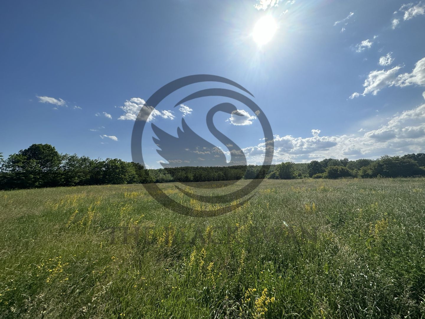 Teren Vanzare 11.000 MP Ghirdoveni | Comision 0% - Poză 8