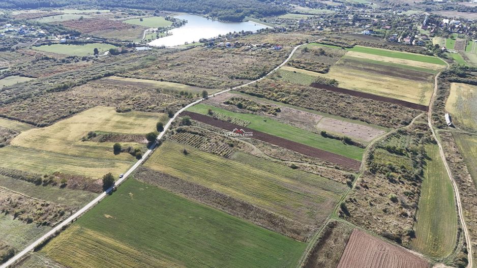 NECTORA IMOB-Teren Saldabagiu de Munte, aproape de Lac Paleu, 2880mp - Poză 8