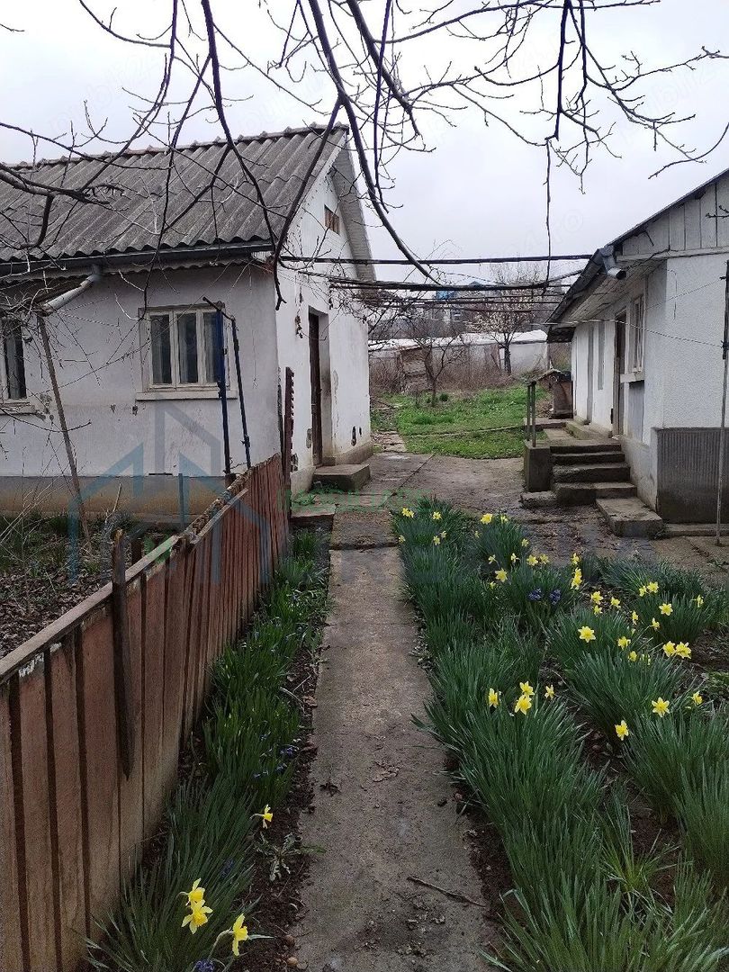 Casă de închiriat în Valea Adâncă - Poză 3