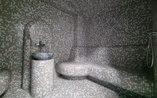 INCHIRIERE -2 VILE -ZONA MOGOSOAIA - Poză 18