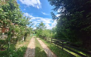 Teren intravilan 1003mp in mijlocul naturii, Predelut, comision 0 - Poză 6