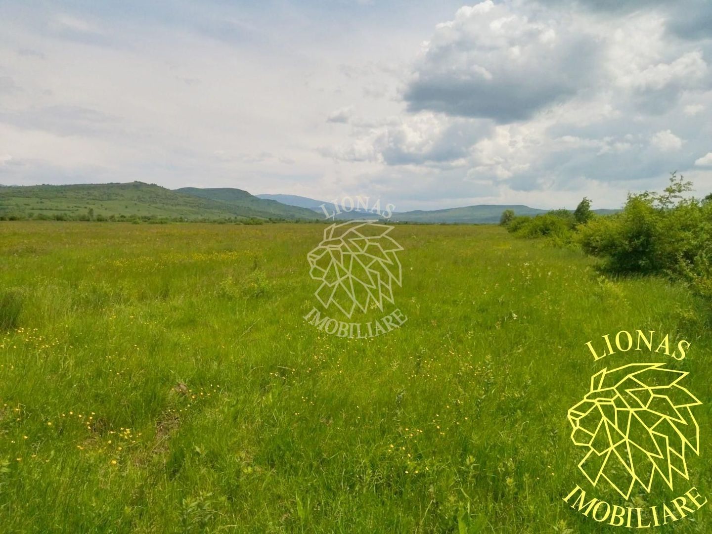 Teren 13100 mp-parcelabil-ideal cabana/agricultura-Orheiul Bistritei - Poză 4