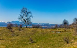 Teren 6 Hectare cu PUZ pentru Resort Turistic panorma Muntii Piatra Craiului - Poză 7