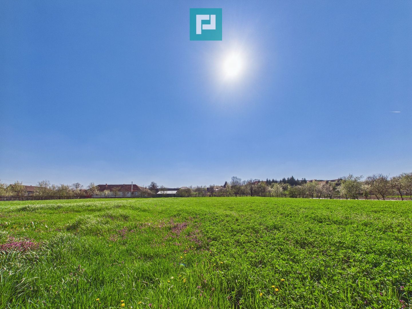 Teren intravilan 3024 mp, în comuna Almaș, Arad - Poză 1