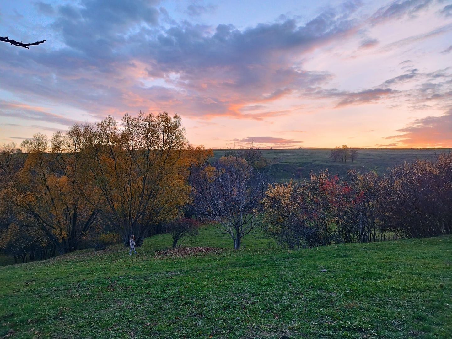 Teren intravilan | Mănăstioara – Siret | 2.200 mp - Poză 6