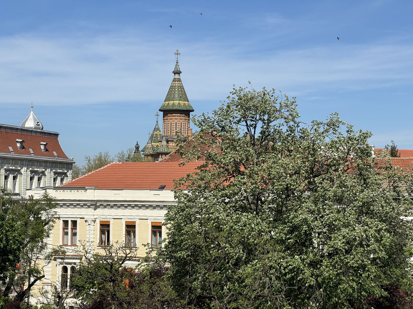 Apartament in clădire istorică P-ta Plevnei cu vedere parc - Poză 27