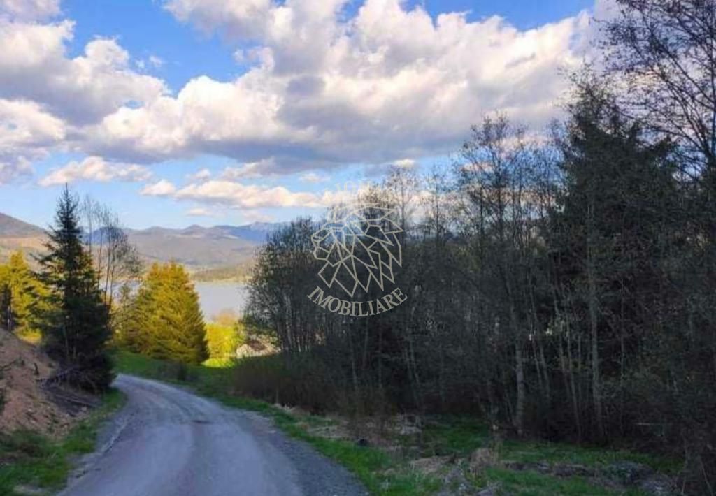 Teren intravilan 3000mp-panorama spre lac-Colibita-EXCULSIV - Poză 2