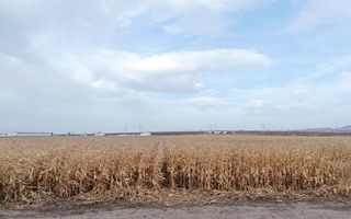 Teren intravilan industrial,str.Durau - Poză 5