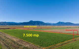 Teren comercial/industrial | 7.500 m² | strada Zizinului - Poză 3